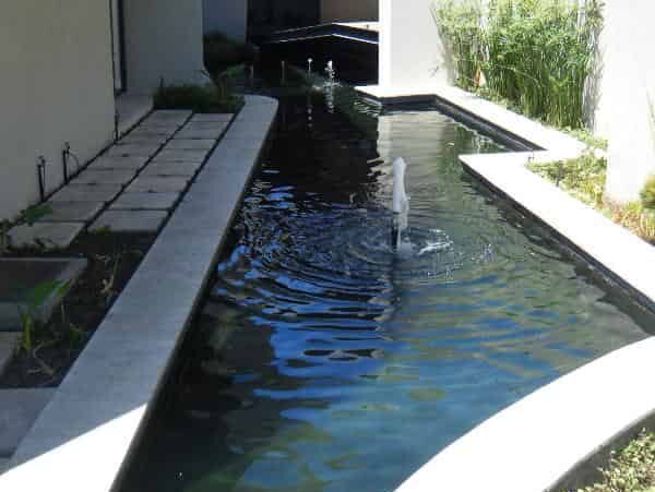 Koi Pond - Freysne